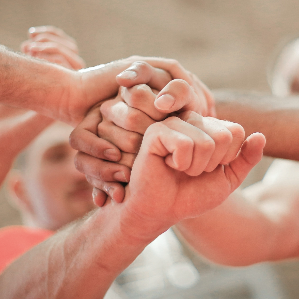 Medialivre Website Image